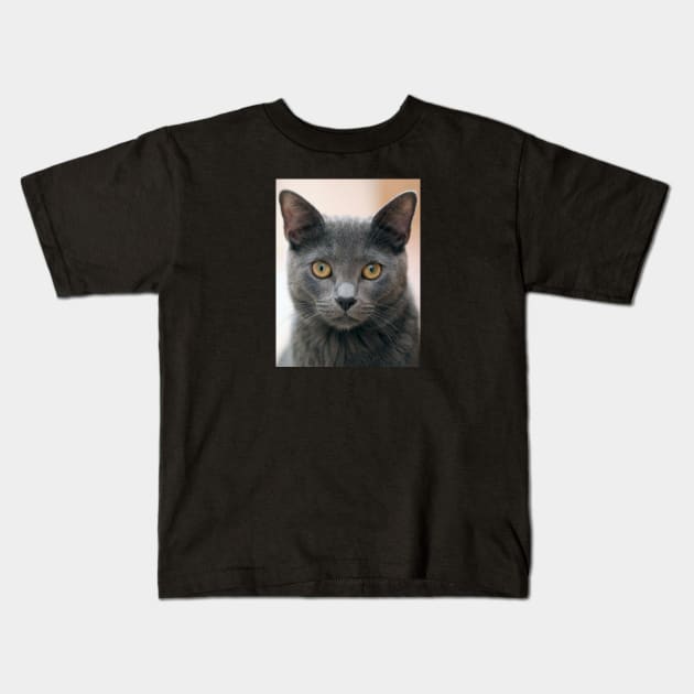 Russian Blue Cat Kids T-Shirt by Kelly Louise Art